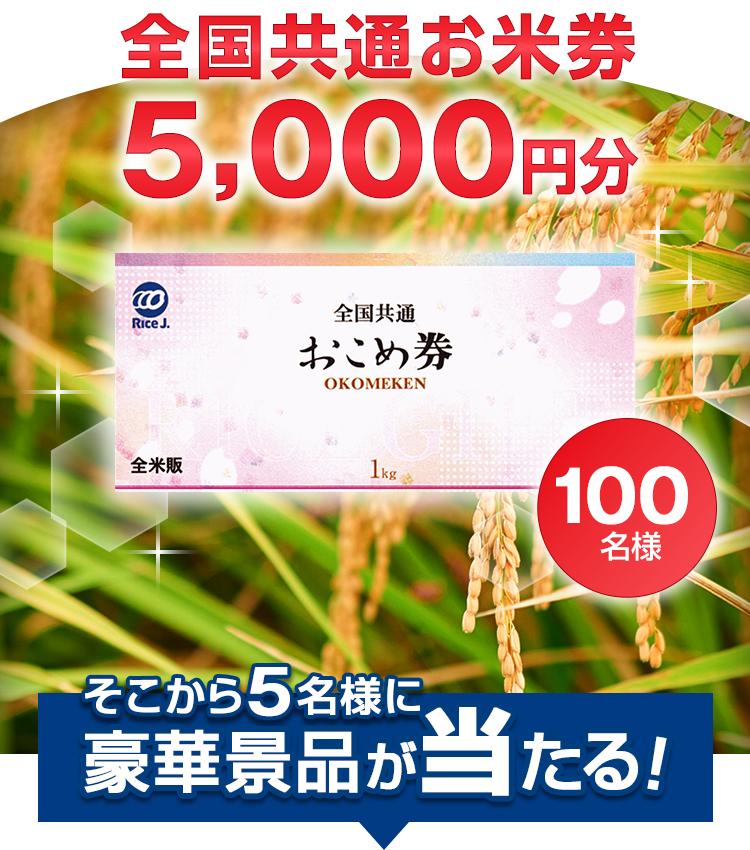 キャンペーン目玉商品の画像