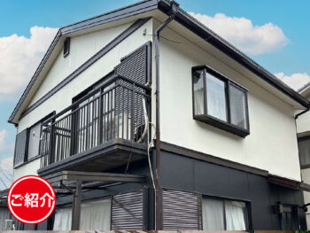 玄関にねこを描いておしゃれなワンポイントに(=^・^=)