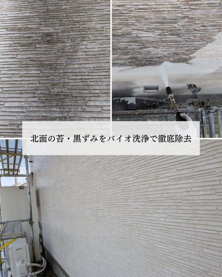 【瀬戸内市邑久町 外壁塗装】北面の苔・黒ずみをバイオ洗浄で徹底除去｜塗装＋リフォームのトータル提案